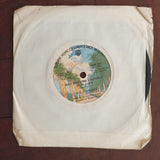 B.W. Stevenson ‎– Down To The Station - Vinyl 7" Record - Very-Good+ Quality (VG+) - C-Plan Audio