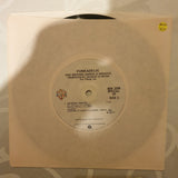 Funkadelic ‎– One Nation Under A Groove EP Side 3/4  - Vinyl 7" Record - Very-Good+ Quality (VG+)
