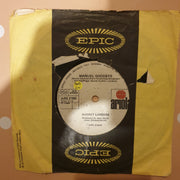 Audrey Landers ‎– Manuel Goodbye - Vinyl 7" Record - Good+ Quality (G+)