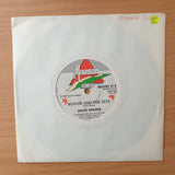 David Kramer – Budgie And The Jets / Karoo Karoo - Vinyl 7" Record - Very-Good+ Quality (VG+) (verygoodplus)