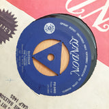 The Turtles – You Showed Me - Vinyl 7" Record - Very-Good+ Quality (VG+) (verygoodplus)