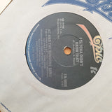 KC And The Sunshine Band – Please Don't Go - Vinyl 7" Record - Very-Good+ Quality (VG+) (verygoodplus)