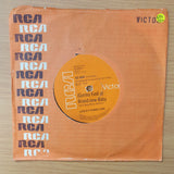 Lesley Hamilton – No Hollywood Movie - Vinyl 7" Record - Very-Good+ Quality (VG+) (verygoodplus)