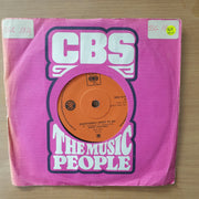 Albert Hammond – Everything I Want To Do / Rebecca - Vinyl 7" Record - Very-Good+ Quality (VG+) (verygoodplus)