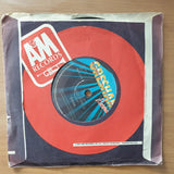 Dana – Little Things Mean A Lot - Vinyl 7" Record - Very-Good+ Quality (VG+) (verygoodplus)