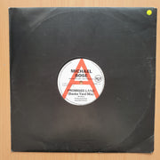 Michael Rose – Promised Land - Vinyl LP Record - Very-Good+ Quality (VG+)