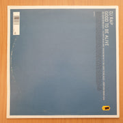 DJ Rap – Good To Be Alive - Vinyl LP Record - Very-Good+ Quality (VG+)