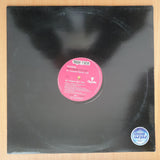 Cicada – The Things You Say – Vinyl LP Record - Very-Good+ Quality (VG+) (verygoodplus)