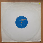 The Hed Boys – Girls + Boys – Vinyl LP Record - Very-Good+ Quality (VG+) (verygoodplus)