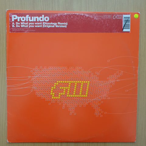 Profundo – Do What You Want – Vinyl LP Record - Very-Good+ Quality (VG+) (verygoodplus)