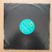 Steady B – Pay Me Baby (Simon Harris Remix) – Vinyl LP Record - Very-Good+ Quality (VG+) (verygoodplus)