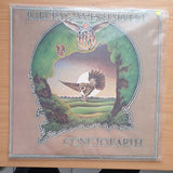 Barclay James Harvest – Gone To Earth – Vinyl LP Record - Very-Good+ Quality (VG+)