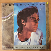 Peter Godwin – Baby's In The Mountains (New York Remix) - Vinyl LP Record - Very-Good+ Quality (VG+)