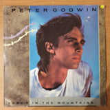 Peter Godwin – Baby's In The Mountains (New York Remix) - Vinyl LP Record - Very-Good+ Quality (VG+)