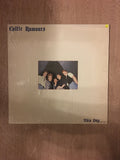 Celtic Rumours - This Day - ‎Vinyl LP Record - Opened  - Very-Good+ Quality (VG+) - C-Plan Audio