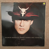 Andrew Ridgeley ‎– Shake - Vinyl Record - Opened  - Very-Good Quality (VG) - C-Plan Audio
