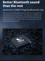 FiiO LC-BT2 - Neckband Sports Bluetooth 5.0 MMCX Cable with APTX/LDAC ( Ships Next Day) - C-Plan Audio